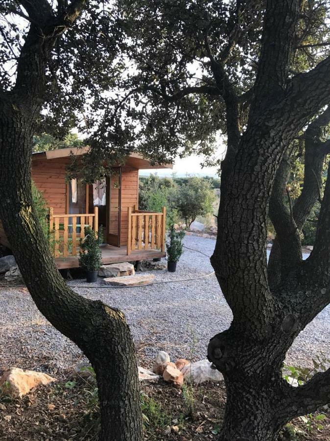 Hébergement de vacances Roulotte Cournonterral